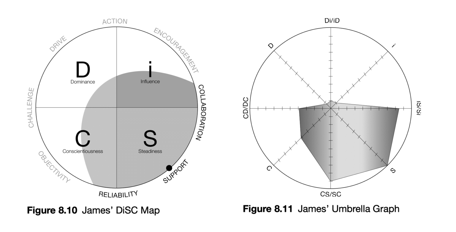 Interpretation of DiSC Results James (S Style) IPB Partners DiSC assessments and certification