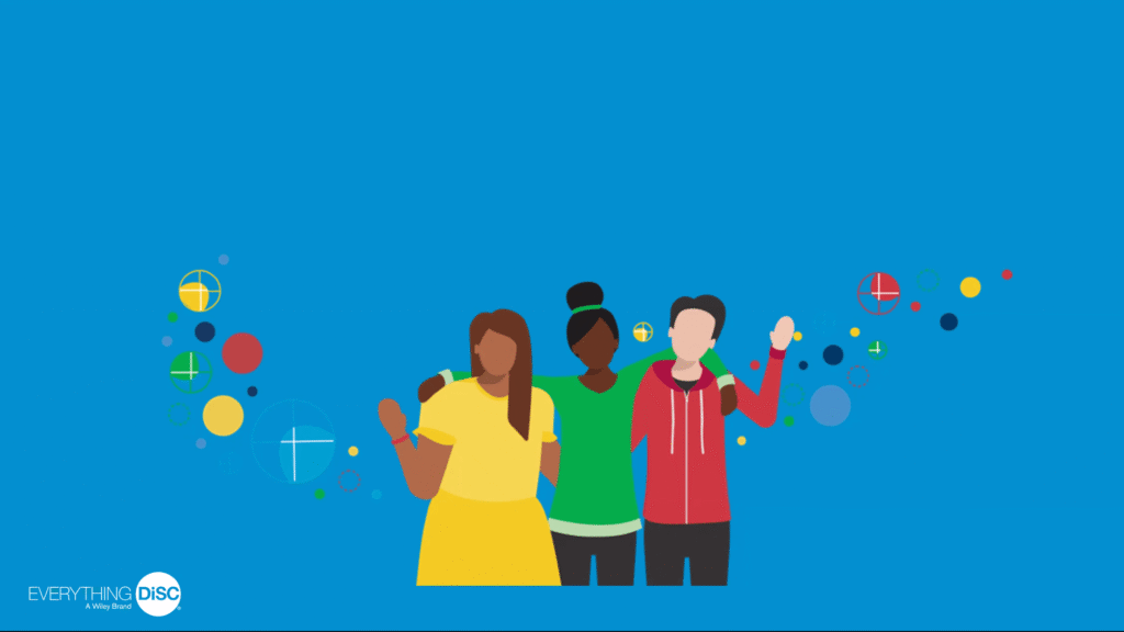 IPB Partners 40 DiSC analysis